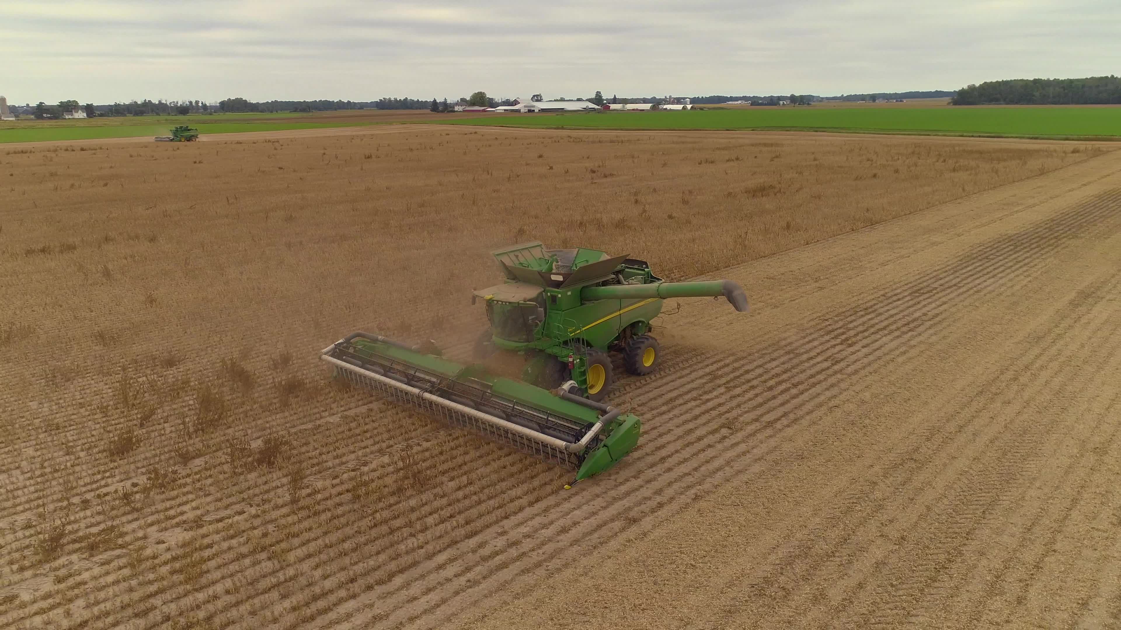 2018 Dry Bean Harvest