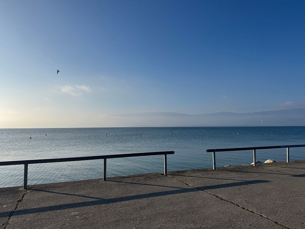 Vereinsversammlung 2026