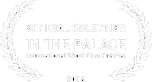 Film Festival participation