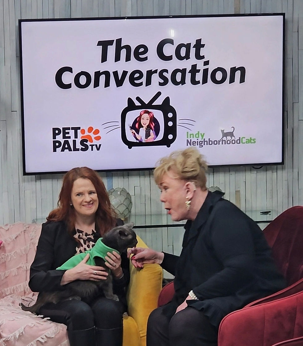KJ, her cat Grayson and Patty on the set of Pet Pals TV filming The Cat Conversation