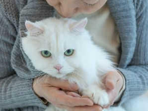 How do we know when it's time to say goodbye?