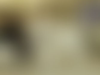 Great Pyrenees - Know Your Breed