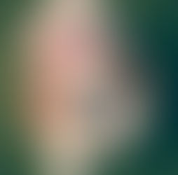 Streaming: The sassy Shih Tzu breed