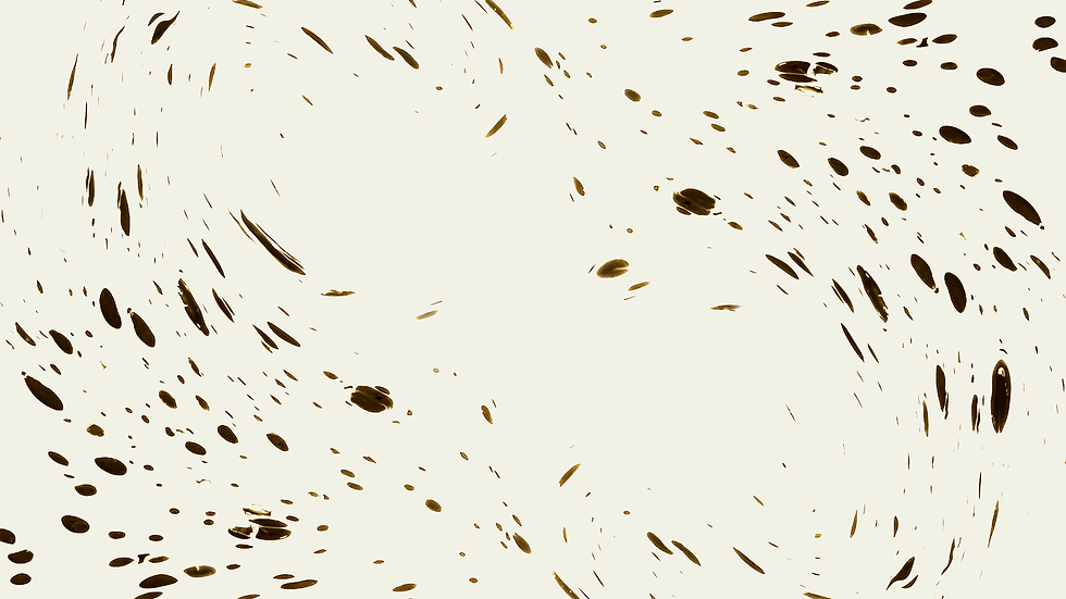 fondo.png
