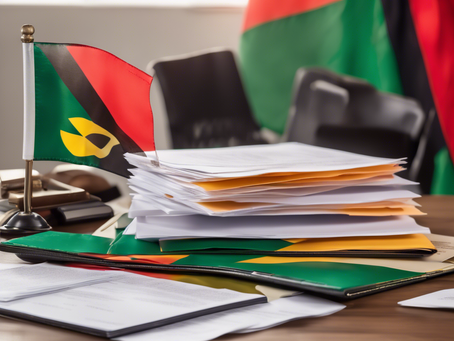 Understanding the Intersection of Policy and Pan-Africanism