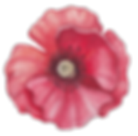 Poppy Front