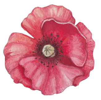 Poppy Front