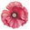 Poppy avant