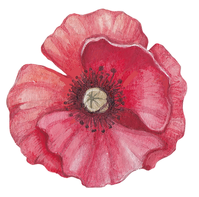 Poppy Front