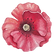 Poppy Front