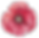 Poppy Front