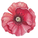 Poppy Frente