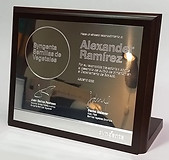 Placas Conmemorativa escritorio