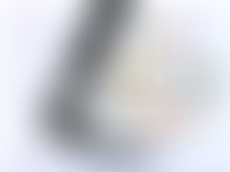 The Airway Manifesto - Part 2: Intubator's Creed