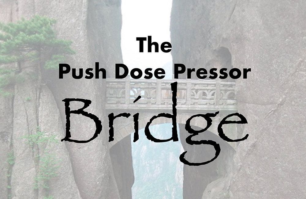 The Push Dose Pressor Bridge