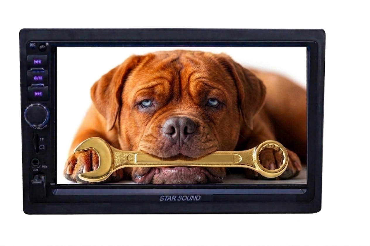 Starsound  Bluetooth/usb media receiver/demo unit
