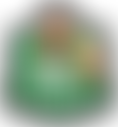 Por que Blog do Luiz Neto e o que esperar. 