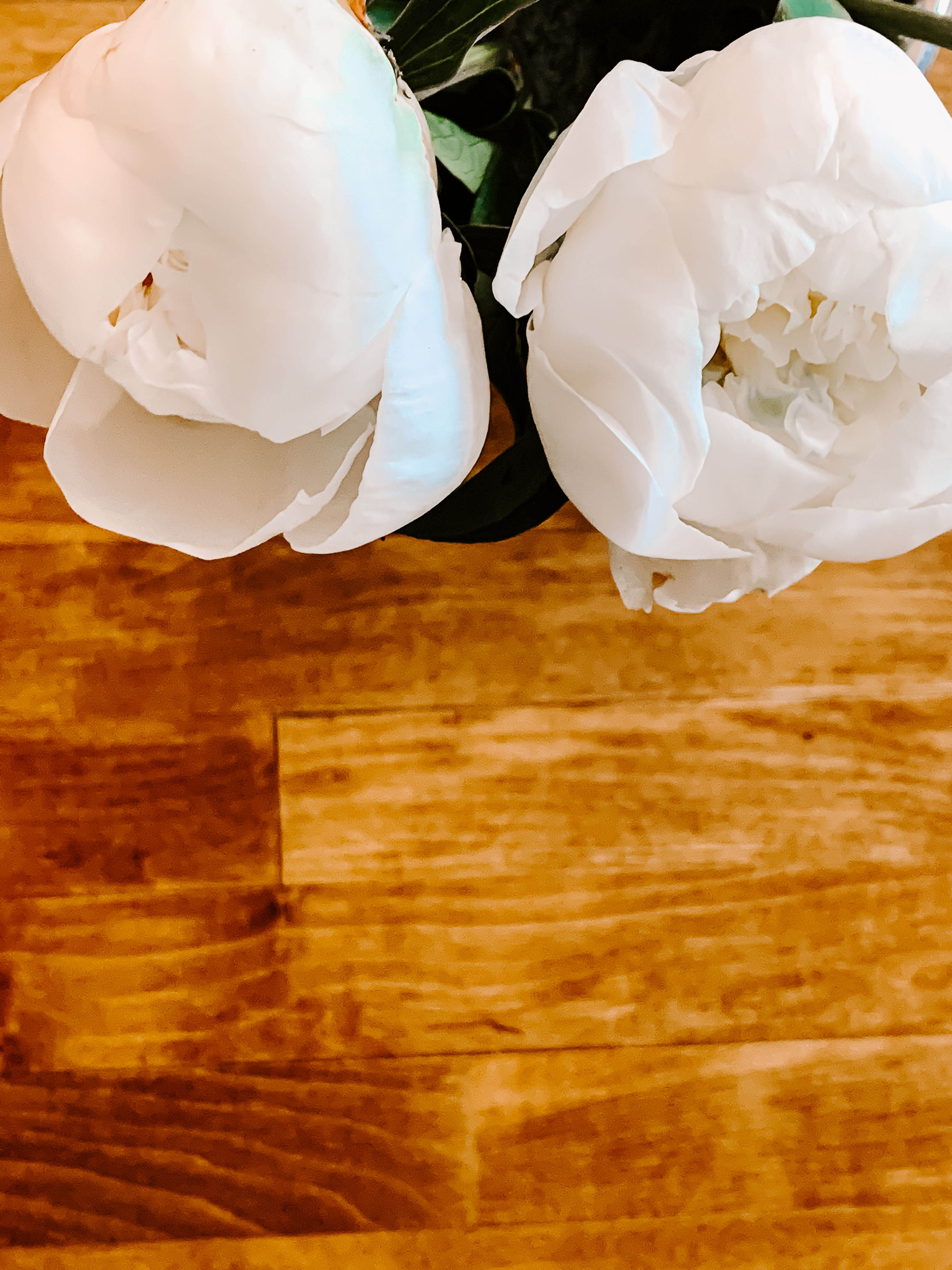 White Peony III (series)