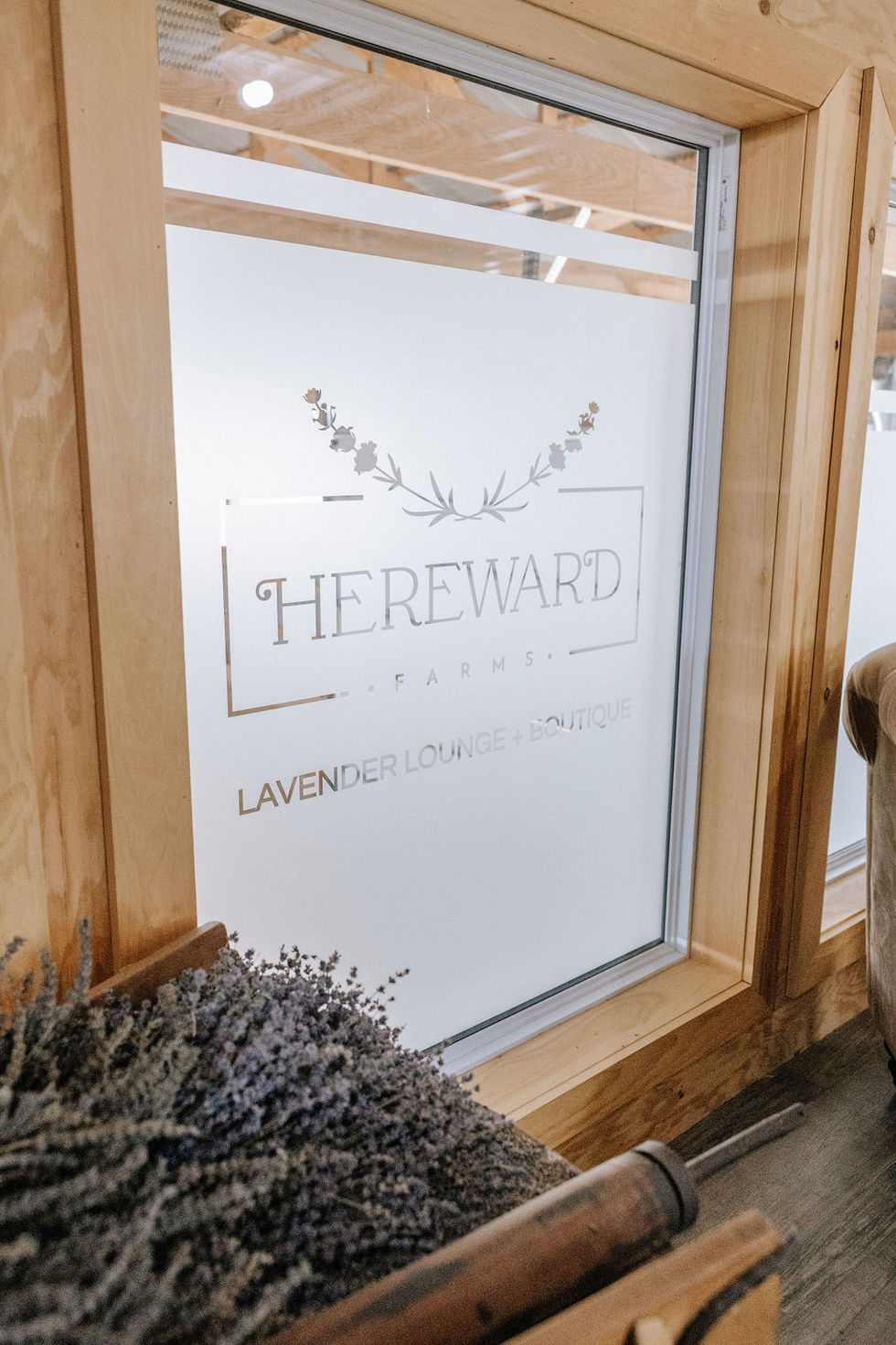 Logo Design