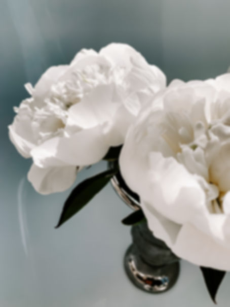 Delicate Peony V (series)