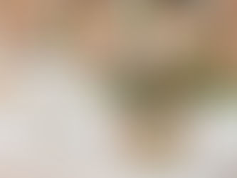 The Art of Choosing the Perfect Table Cloth: A Comprehensive Guide