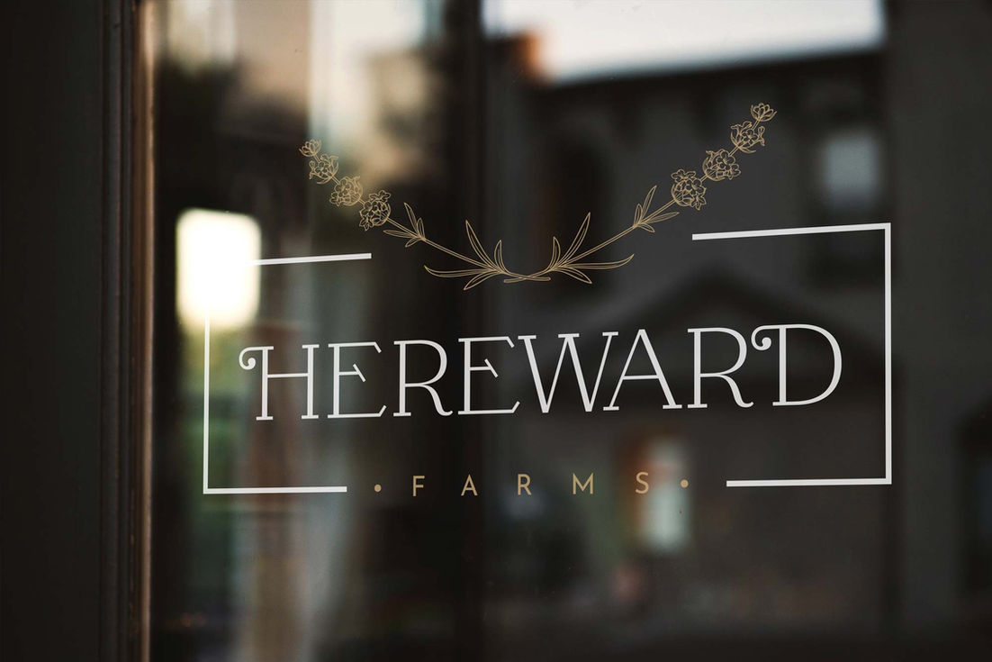 Logo Design