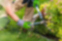 garden maintenance