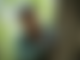 Discover Local Tree Care Professionals