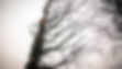Untitled-58.jpg