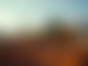 Trusted Residential Land Clearing Services