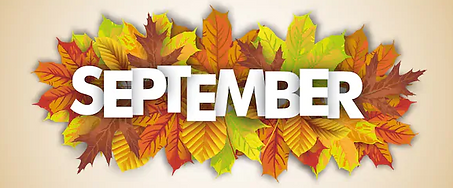 autumn-foliage-on-white-background-260nw-1160027599-webp-625×280-.png