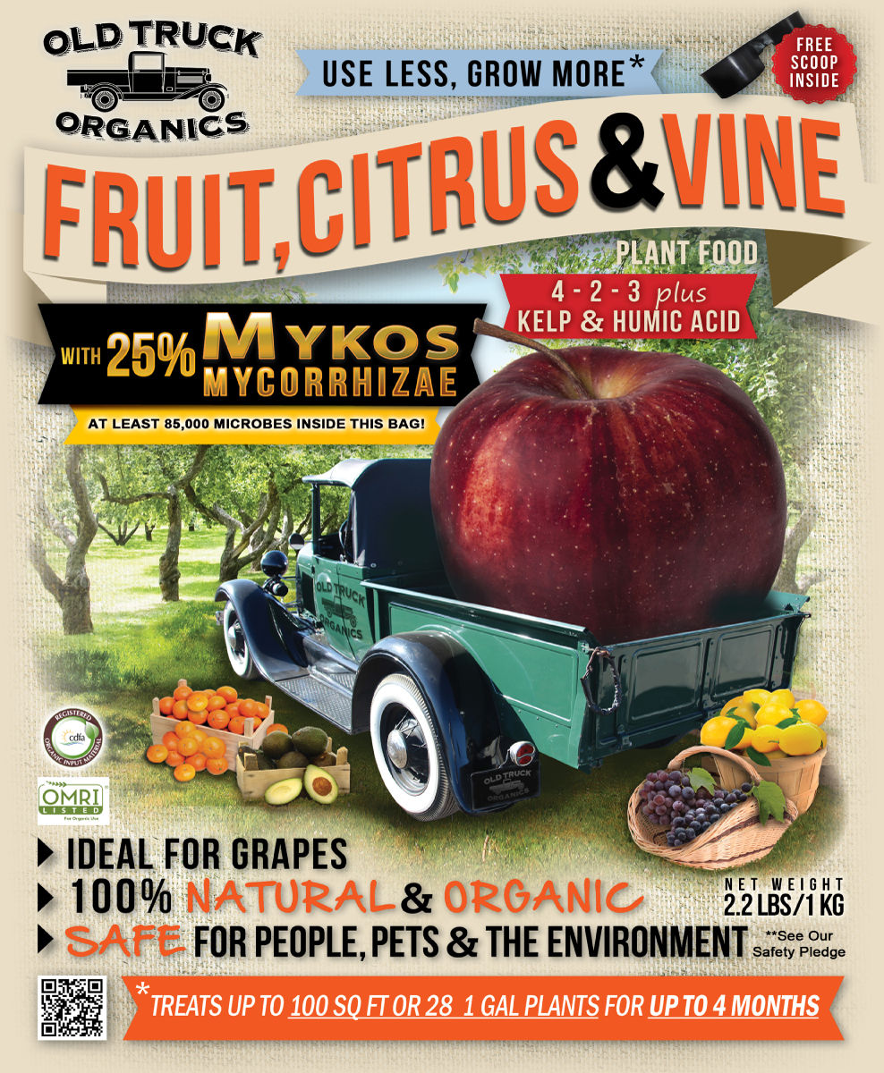 Fruit, Citrus & Vine