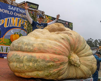 2022 US Record Giant Pumpkin - Travis Geinger 2,560 lbs