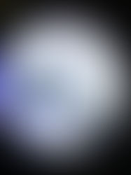 Mycorrhiz(_) &
Fung(_) Usage