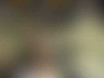 修理抽真空機可以抽真空,但是不排排氣。原來是氣閥出問題了
