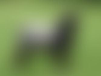 Shearing done- nearly