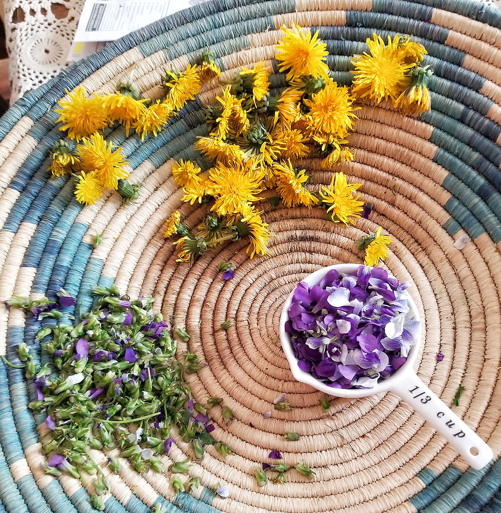 Ostara - Make Wild Violet Syrup