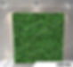 Hedge Wall