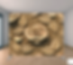 Wood Roses