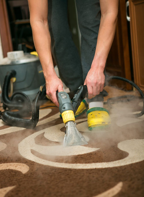 Preventing-and-Disinfecting-Your-Carpet-from-Fleas.jpg