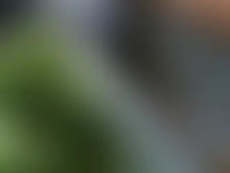 How Often Should Gutters Be Cleaned: Practical Schedule and Maintenance Tips