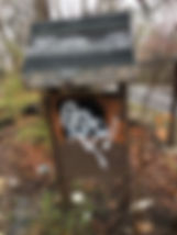 IMG_1505.jpeg