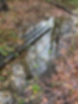 IMG_1496.jpeg