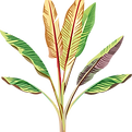Tropical Banana Leaves