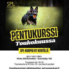 Pentukurssi