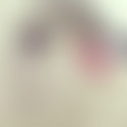 평범한 형제처럼