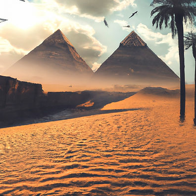 desert with a view looking at the pyramids with palm tree in the afternoon made picture mo