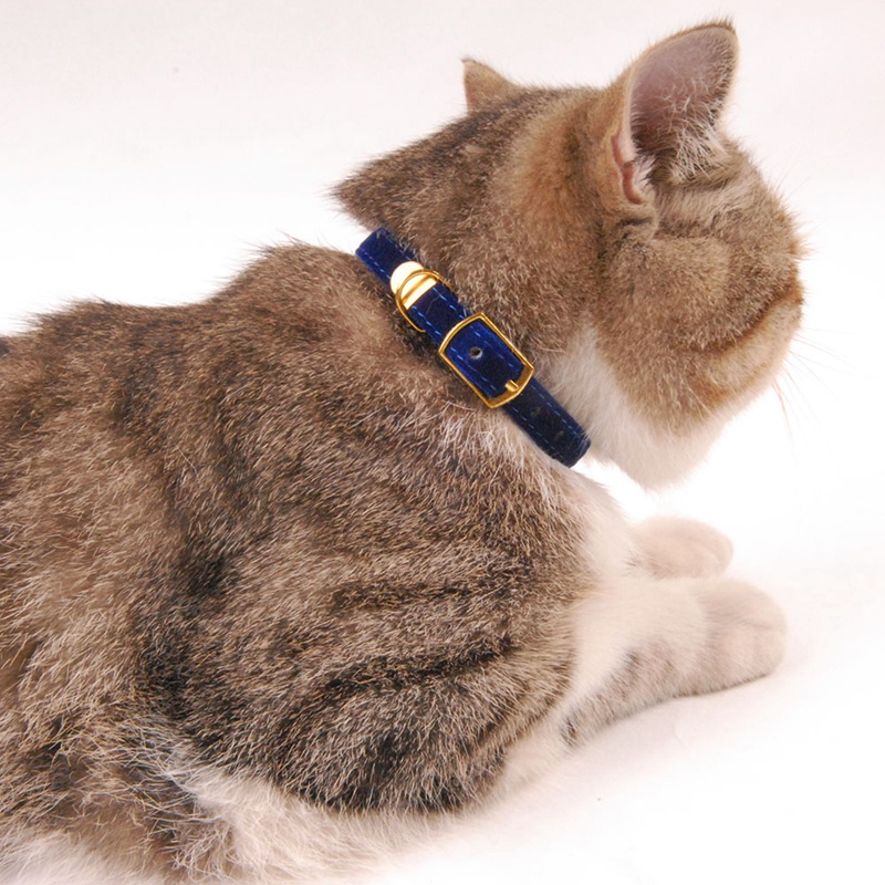 Thumbnail: Cat Collar