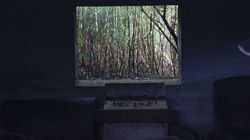 Old WWII Bunker