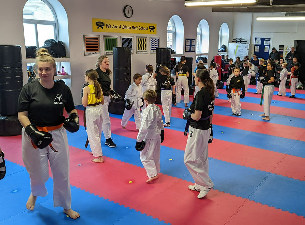 family martial arts class doing pad work